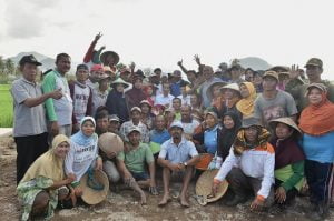 Bincang Dengan Petani Sumbawa: Presiden Ingin Beras Stabil dan Harga Gabah Baik Tuk Petani 1