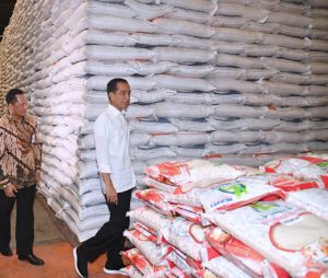 Datangi Gudang Bulog, Presiden Pastikan Stok Beras Terjaga 1