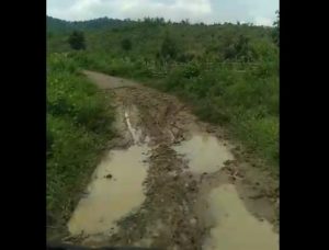 Begini Parahnya Infrastruktur Jalan Penghubung di Jabar 2