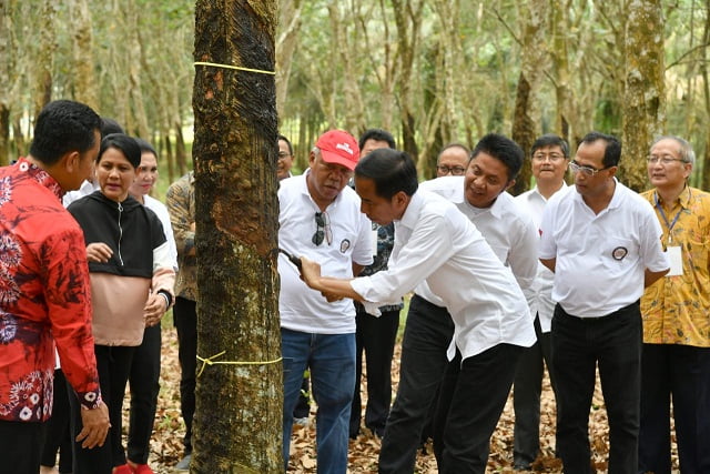 Silaturahmi Petani Karet, Pemerintah Janji Dongkrak Harga Karet 2