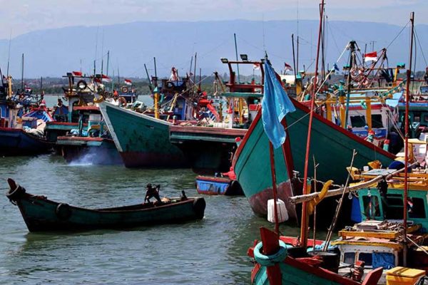 Lewat Teknologi Informasi Nelayan Dapat Akses Pasar Global 16