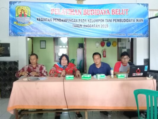 Dinas Kelautan dan Perikanan Cirebon Latih Warga Budidaya Belut 1