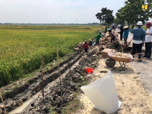Program Padat Karya Tunai Irigasi Tahun 2020 Jangkau 6.000 Lokasi 19