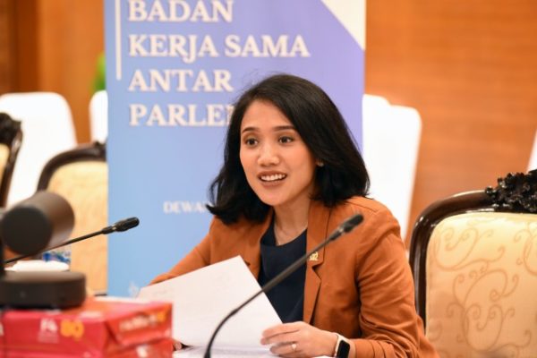DPR Tegaskan Pentingnya Pengawasan Anggaran Covid-19 18