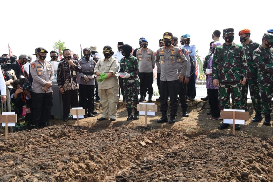 Kapolri dan Panglima TNI Sebar Benih ikan dan Tanam Benih Mangrove 3