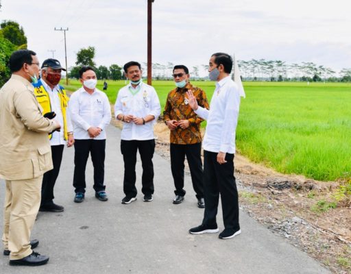 Presiden Jokowi Tinjau Jaringan Reklamasi Rawa di Pulang Pisau 17