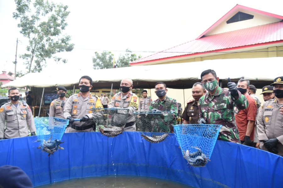 Sinergitas TNI-POLRI Menjaga Ketahanan Pangan di Tengah Pandemi 4