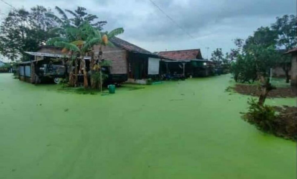 IMG-20210203-WA0051 Pekalongan Terendam Banjir, Menteri PUPR Selesaikan Pembangunan Tanggul 7,2 Km 3