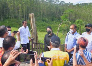 Presiden Jokowi Optimistis Pembangunan IKN Berjalan Lancar 1