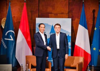 Presiden Jokowi Bahas Situasi Ukraina dengan Presiden Macron 14