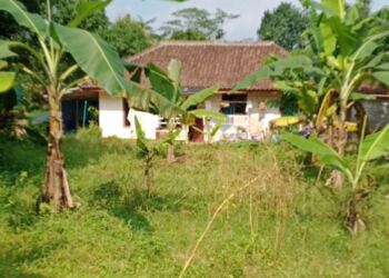 Ajukan Banding! Hasil Putusan Sidang Penggelapan Sertifikat Tanah Milik Mad Sunandar Terdapat Kejanggalan 2