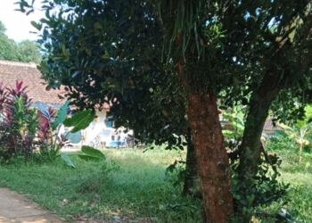 Ajukan Banding! Hasil Putusan Sidang Penggelapan Sertifikat Tanah Milik Mad Sunandar Terdapat Kejanggalan 3