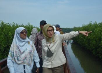 Komisi IV Dukung Budi Daya Mangrove untuk PNBP dan Kesejahteraan Nelayan 21