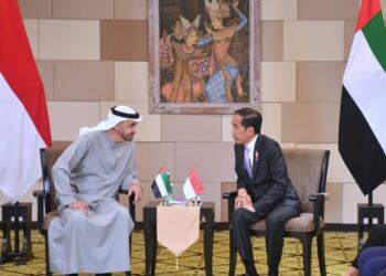 Presiden Jokowi Bertemu dengan Presiden MBZ di BNDCC 18