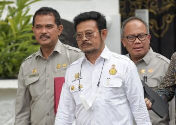 Presiden Minta Menteri Pertanian Cek Stok Beras Nasional 1