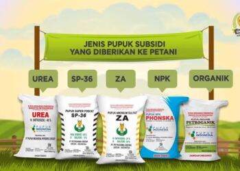 Harga Pupuk Bersubsidi Dikeluhkan Petani, Pihak Distributor Menghimbau Agar Kios Resmi Menjual Pupuk Bersubsidi Sesuai HET 19