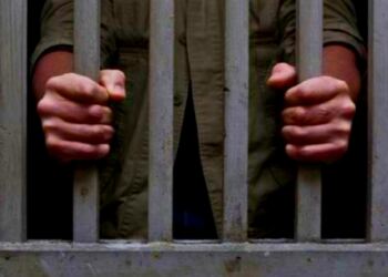 Polri Berhasil Tangkap 2 Buronan Interpol Asal Republik Ceko di Bali 14