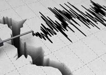 Maluku Utara Dilanda Gempa dengan Kekuatan 5,6 Magnitudo, Tidak Berpotensi Tsunami 1