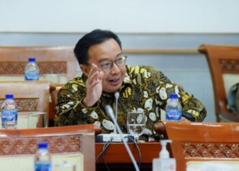 Legislator Minta Pemerintah Intensifkan Dialog dalam Selesaikan Masalah Separatis di Papua 17