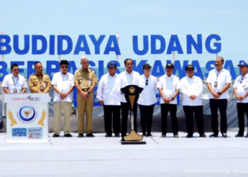Presiden Jokowi Resmikan Tambak Budidaya Udang Berbasis Kawasan di Kebumen 1