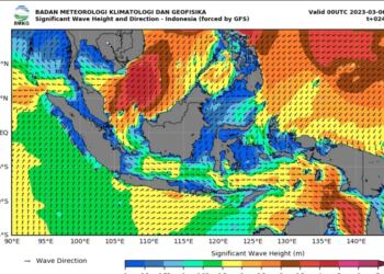 BMKG Minta Masyarakat yang Tinggal di Pesisir Waspadai Gelombang Tinggi 1