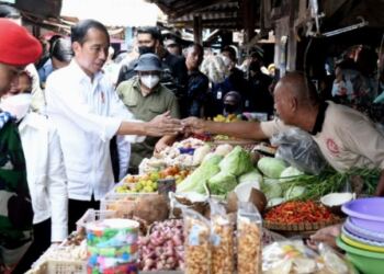 Presiden dan Ibu Iriana Cek Harga Kebutuhan Pokok di Pasar Sambonggede 17