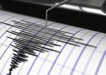 Gempa Berkekuatan Magnitudo 4,4 SR Guncang Wilayah Maluku 19