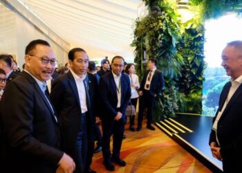 Pemerintah Indonesia Ajak Singapura Dukung Investasi di IKN 13