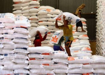 Bulog Catat Cadangan Beras Pemerintah Capai Enam Ratus Ribu Ton 18