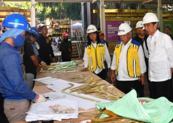 Presiden Jokowi Pastikan Pembangunan Istana di IKN Berjalan Sesuai Rencana 17