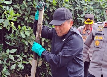 Bersihkan Sampah, Kapolda Metro Ajak Masyarakat Jaga Fungsi Hutan Mangrove 21