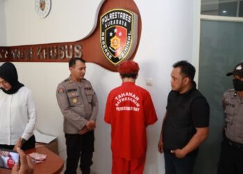 Mami Elga Ditangkap Polisi, terlibat Prostitusi di Surabaya 18