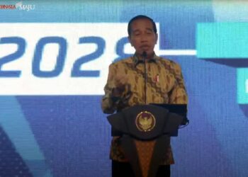 Presiden Jokowi Apresiasi Komitmen Apindo Dalam Penanganan Stunting 1
