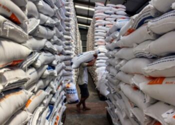 Badan Pangan Nasional Pastikan Stok 1,3 Juta Ton Beras 20