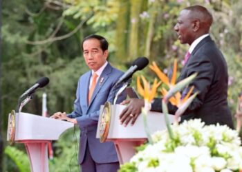 Presiden Jokowi Dorong Kemitraan Negara-negara Berkembang Terus Diperkuat 17