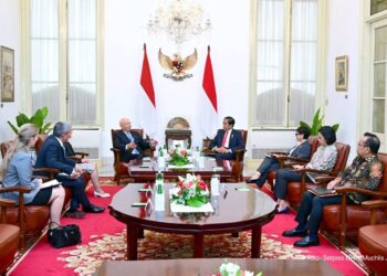 Presiden Jokowi Bertemu Ketua Eksekutif World Economic Forum, Bahas Ini 13