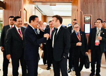 Bertemu Presiden Macron, Presiden Jokowi Apresiasi Investasi Prancis Pada Sektor Strategis di Indonesia 15