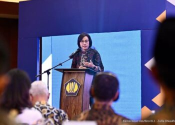 Kemenkeu : Pemerintah Akan Beri Insentif bagi Daerah yang Mampu Kendalikan Inflasi 18