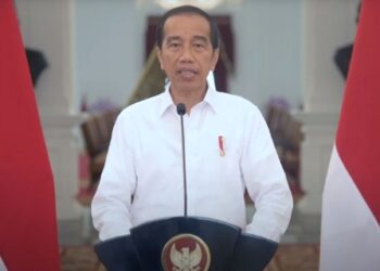 Indonesia Anggota Penuh FATF, Presiden: Tingkatkan Persepsi Positif Terhadap Sistem Keuangan 17