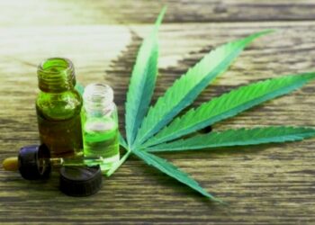 Polres Mandailing Natal Berhasil Mengamankan 15Kg Ganja, 3 Kurir Ditangkap 17
