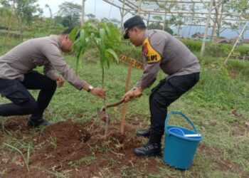 Peduli Penghijauan, Polres Kuningan Gelar Penanaman 100 Pohon 19