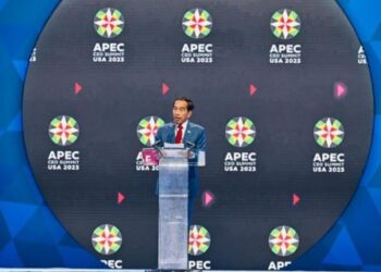 Paparkan Sektor Prioritas Investasi Indonesia, Presiden: Ini Waktu Yang Tepat, Manfaatkan Lebih Agresif 17