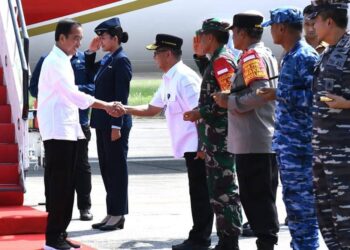 Presiden Jokowi Akan Groundbreaking Sejumlah Infrastruktur hingga Tanam Pohon Bersama di IKN 21