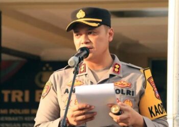 Polda Kalsel Berhasil Ringkus MU dan Sita 60 Batang Kayu Ulin Ilegal di Tabalong 16