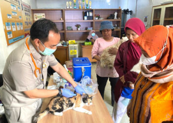 KPKP Jakut Berikan Layanan Vaksinasi Rabies Gratis di Papanggo 20