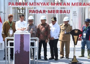 Langkah Maju Industri Kelapa Sawit, Presiden Resmikan Pabrik Percontohan Minyak Makan Merah Pertama di Indonesia 21