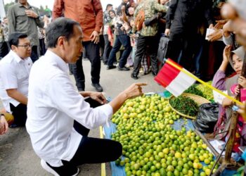 Tinjau Pasar Muara Bungo, Presiden Tekankan Pentingnya Revitalisasi Pasar 19