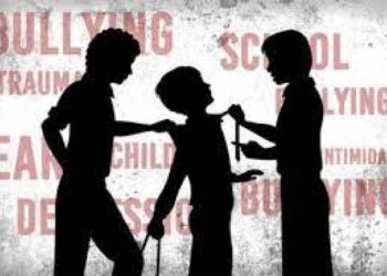 Maraknya Perundungan di Lingkungan Sekolah, Pemerintah (Dinas Pendidikan) Berkewajiban Dan Bertanggung Jawab Untuk Menghormati Pemenuhan Perlindungan Hak Anak 20