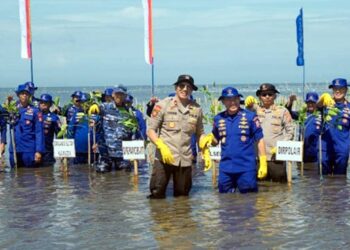 Kakorpolairud Baharkam Polri Pimpin Penanaman Pohon Mangrove Di Takalar 19