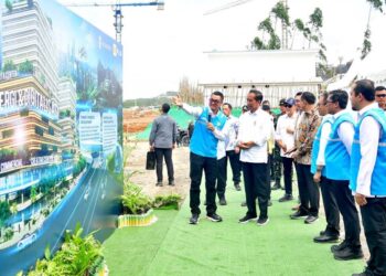 Presiden Jokowi Minta Optimalkan Pemanfaatan Energi Hijau di IKN Nusantara 16